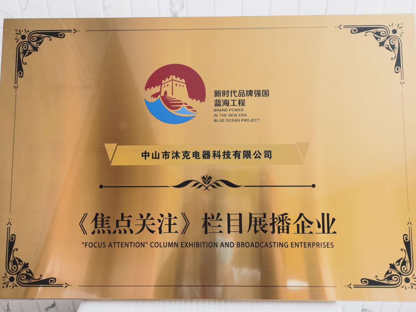 Focus Attention Column Exhibition And Broadcasting Enterprises