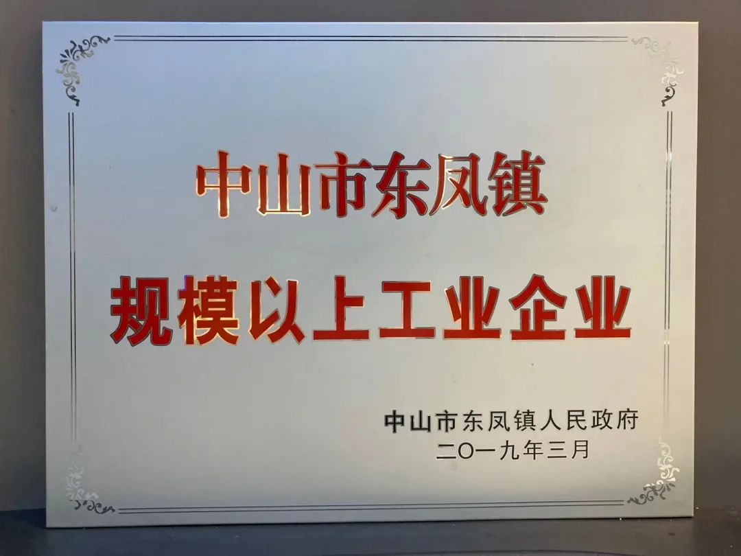 Industrial Enterprises Above Designated Size In Dongfeng Town, Zhongshan City