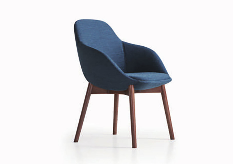 Leisure Chair