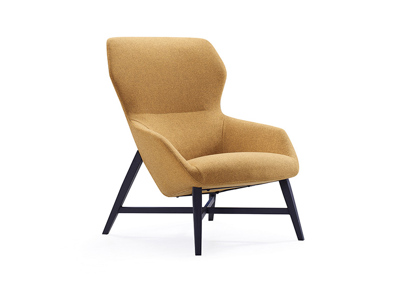 Leisure Chair