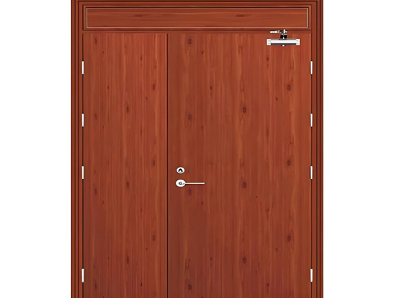 Steel Wood Fire Door for Fire Rated Buildings