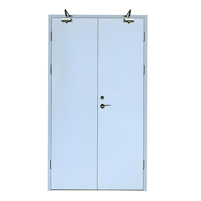 60 Minute Steel Fire Door for Fire Rated Buildings