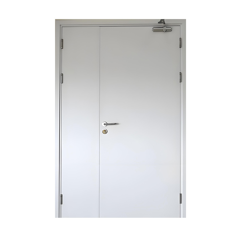 Explosion Proof Steel Fire Door for Industrial Safety