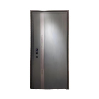 Steel Security Doors for Residential Entrances