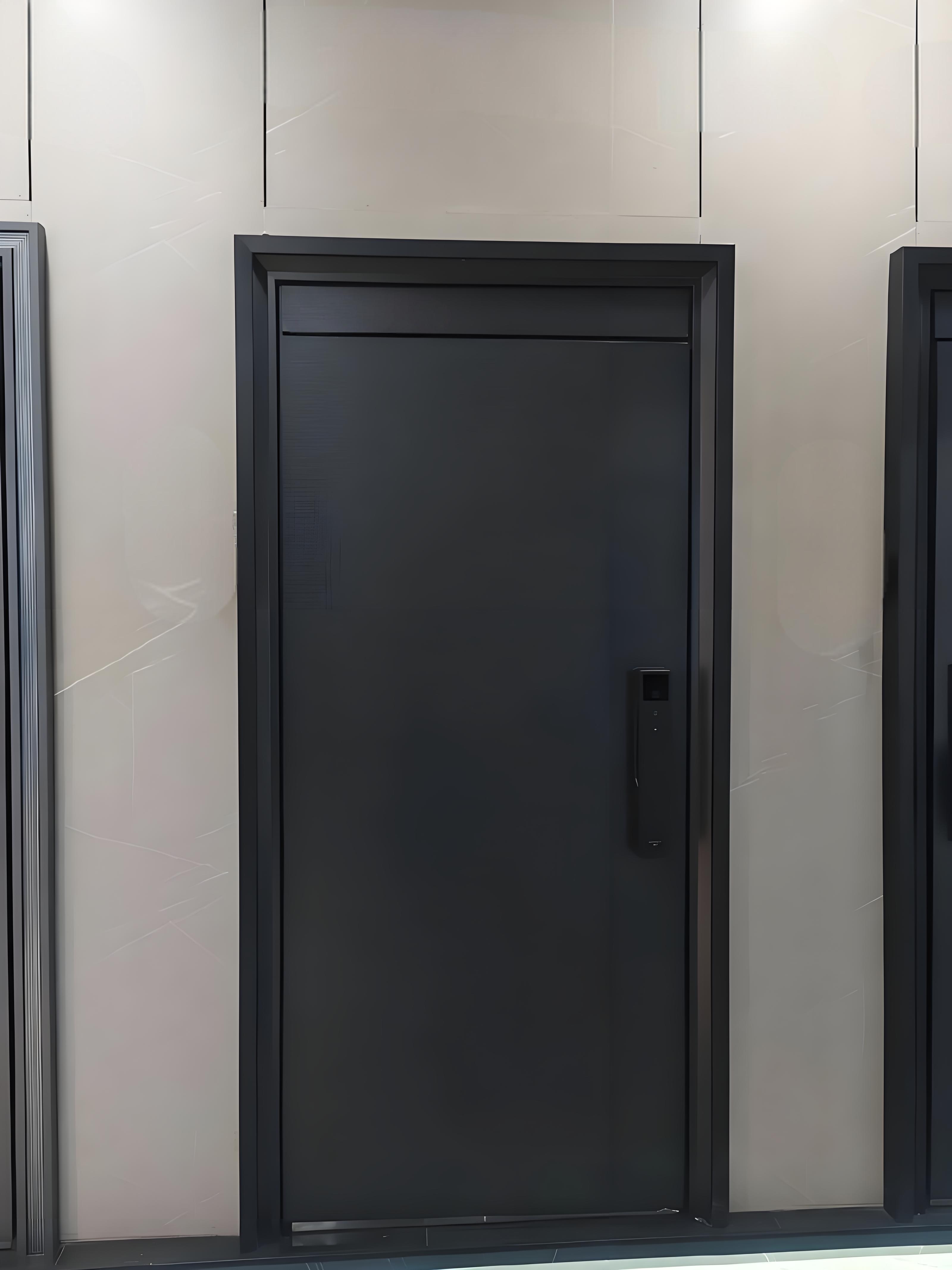 Metal Security Doors