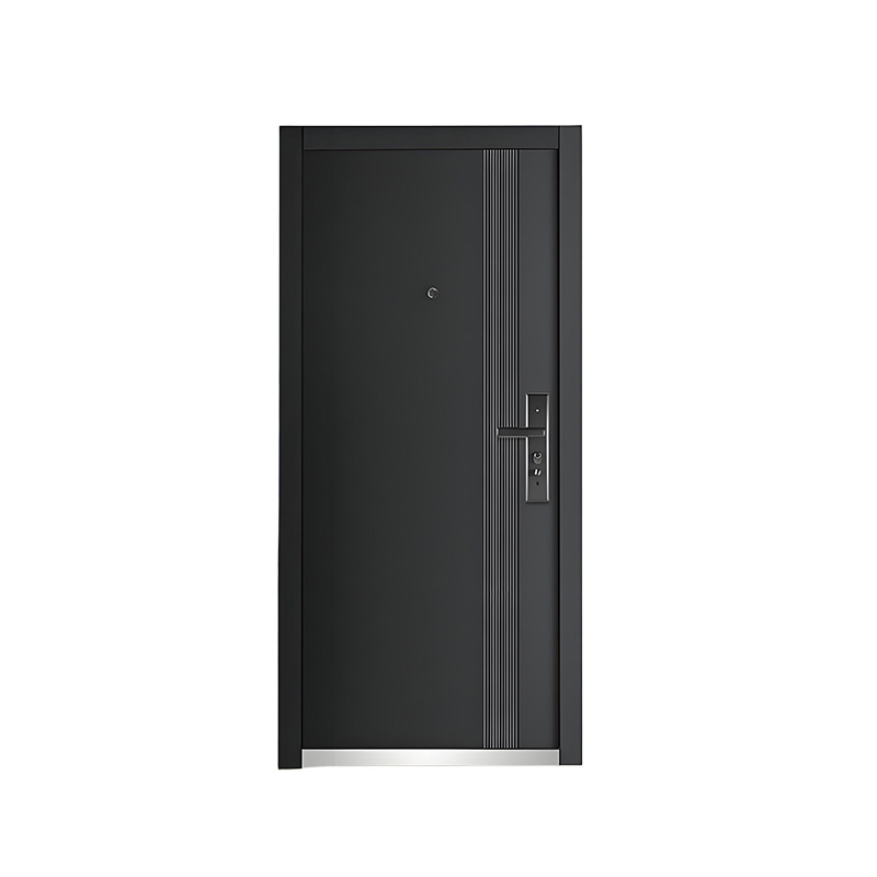 Steel Security Entry Door for Residential Buildings