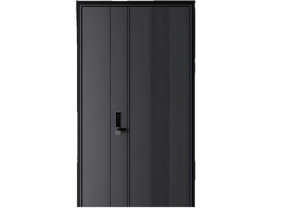Steel Security Entry Door for Residential Buildings