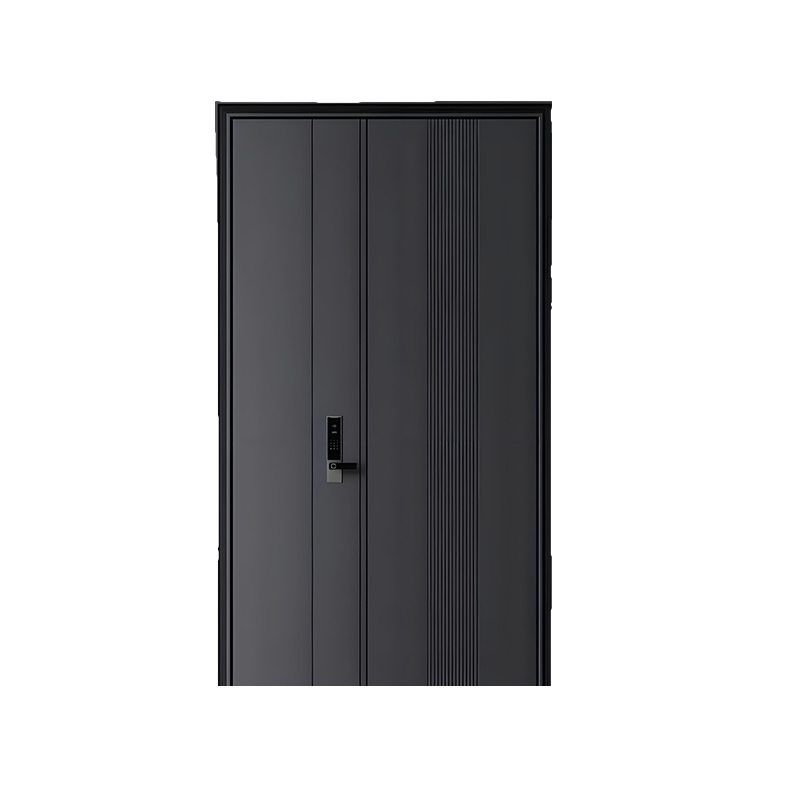 Steel Security Entry Door for Residential Buildings
