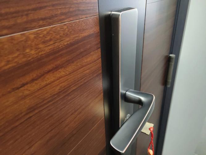 Armored Steel Entry Door