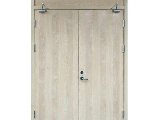 BS Certified Wooden Fire Door for Fire Rated Buildings