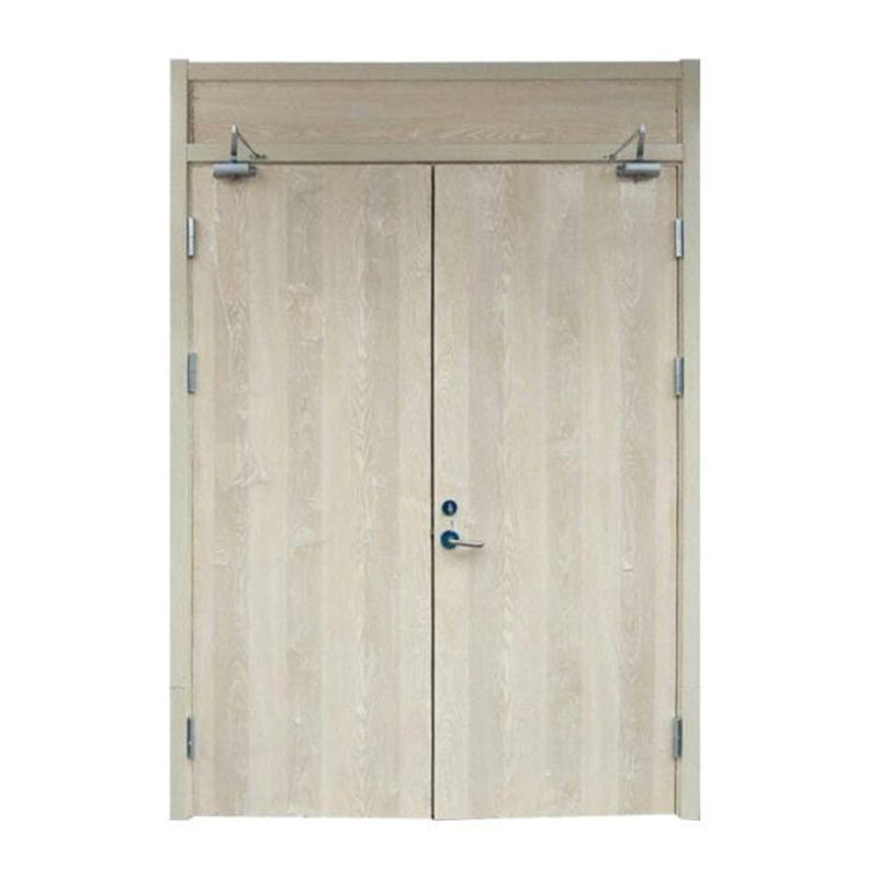 BS Certified Wooden Fire Door for Fire Rated Buildings