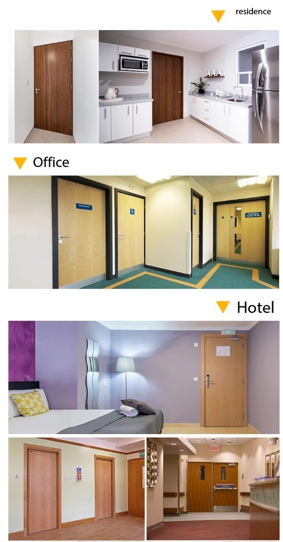 BS Certified Wooden Fire Door for Fire Rated Buildings