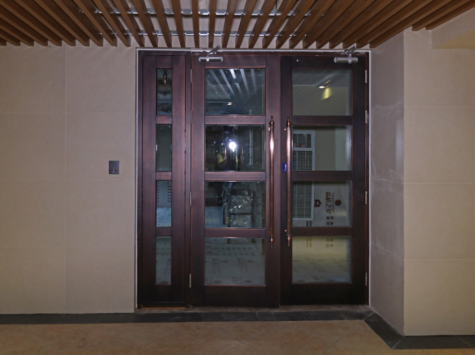 Security Entry Doors