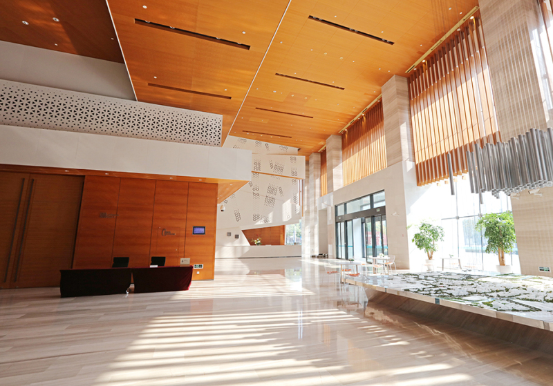 Custom Steel Fire Door for Fire Rated Buildings