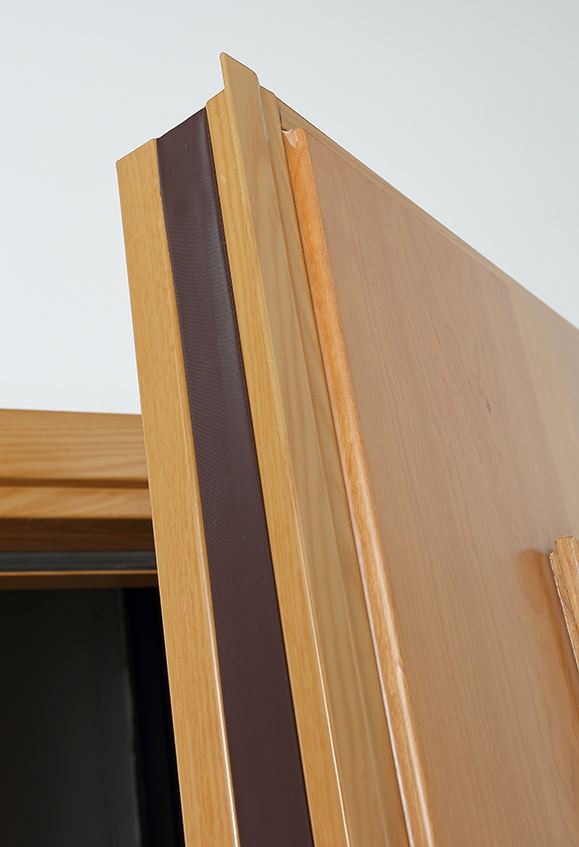 Security Storm Doors