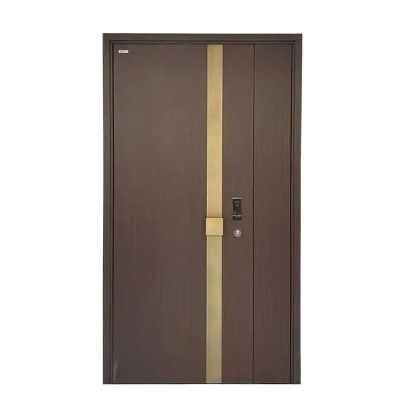 Armored Door for Residential Security Entrances
