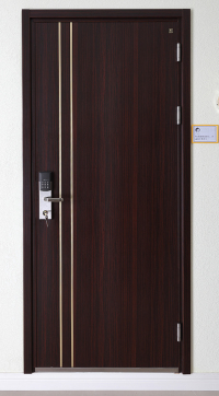 Anti Theft Entry Door for Residential Security