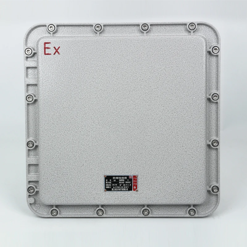 300*300*150 Durable Explosion-proof IP66 Outdoor Sensor Junction Box