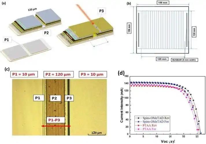 Seasonal Effects in Perovskite Solar Cells: MPPT Reveals Degradation Mechanisms and Stability Optimization