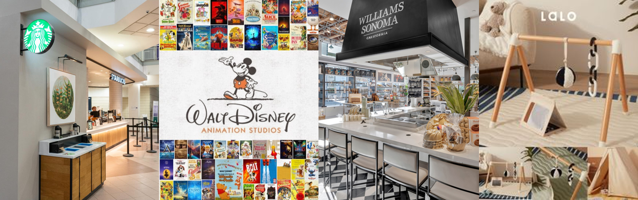 Global Brands Trust Our Plastic Product