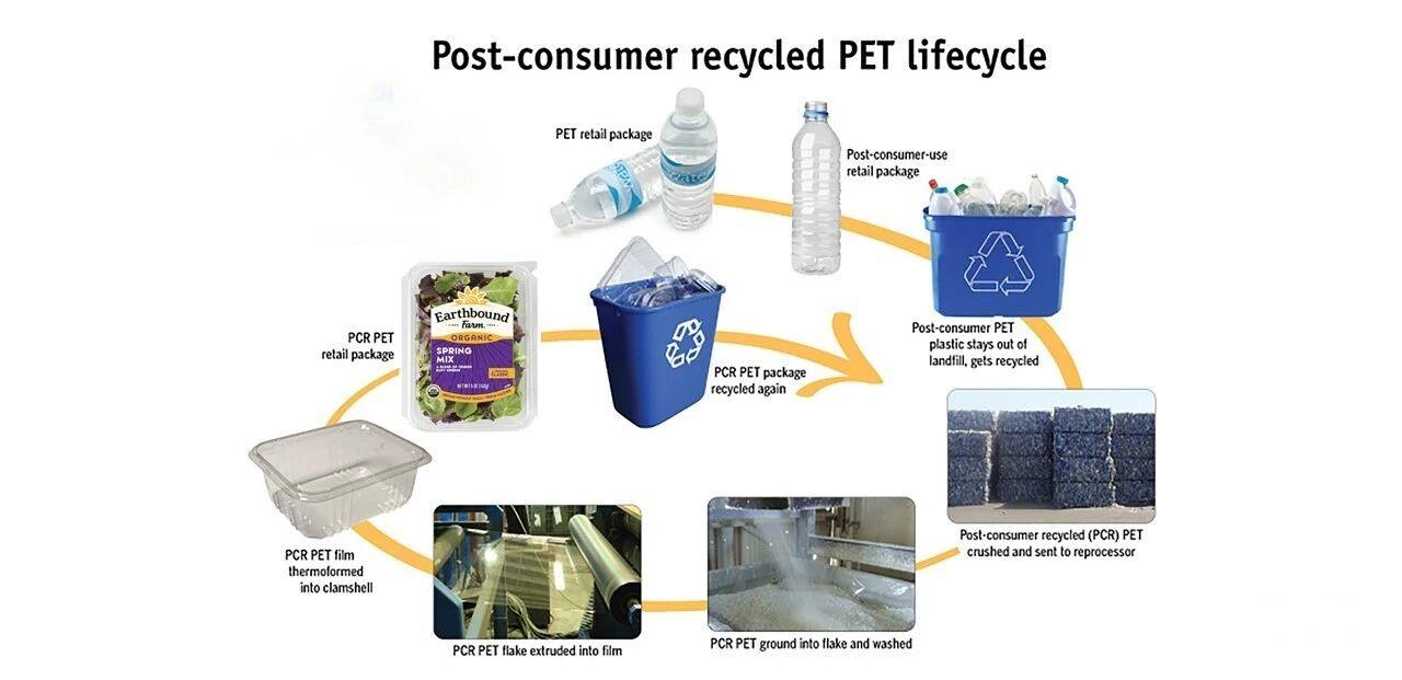 Kitchen Organizer with Hooks