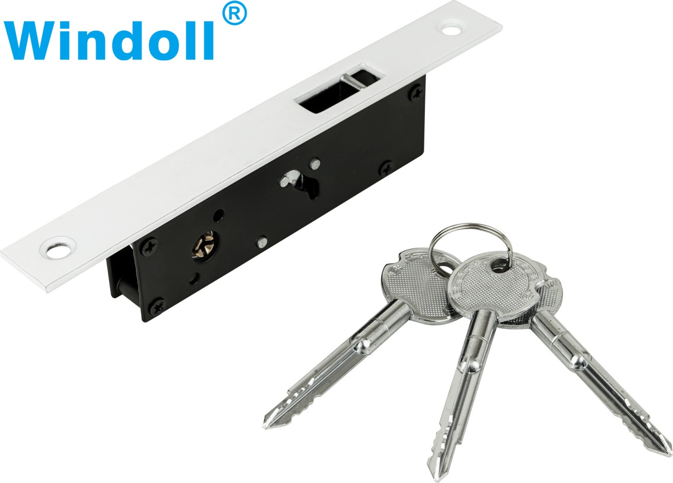 Factory Price One Way Stainless Steel Point Mortise Lock Hardware Mortise Roller Lock