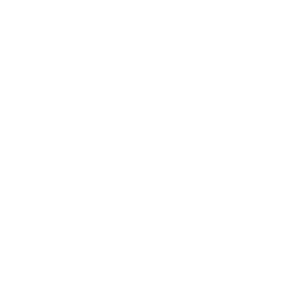 Over 10 years of experience in the new energy industry