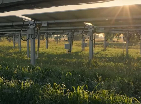 Solar Farm Mounting System | Angels Solar