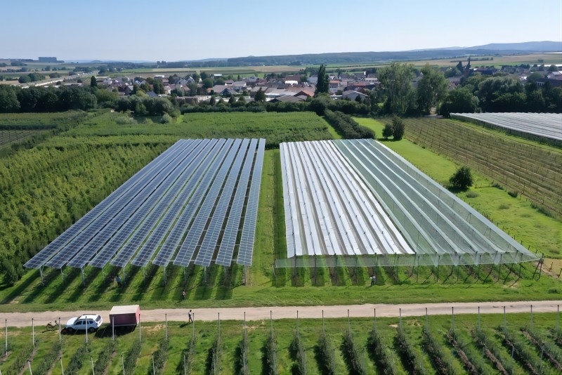 Solar Farm Mounting System | Angels Solar