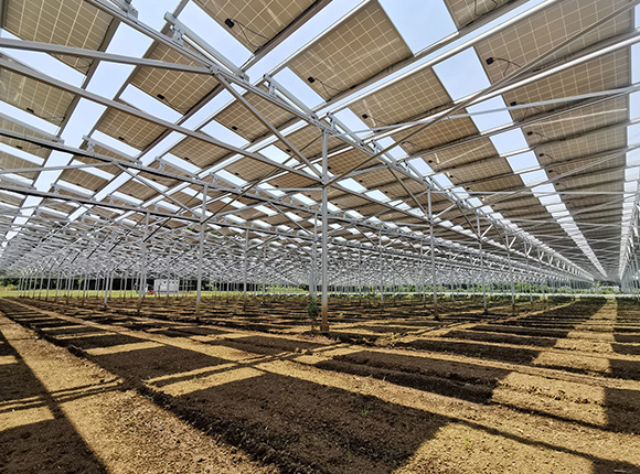 Solar Farm Mounting System | Angels Solar