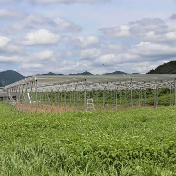 Agricultural Ground Mounting System | Angels Solar