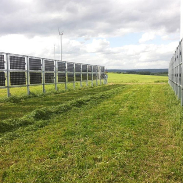 Bifacial Solar Vertical py Plant Mount | Angels Solar