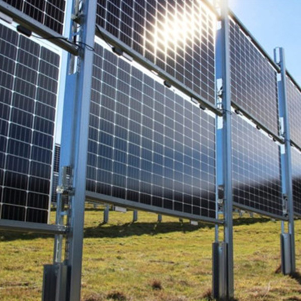 Bifacial Solar Vertical py Plant Mount | Angels Solar