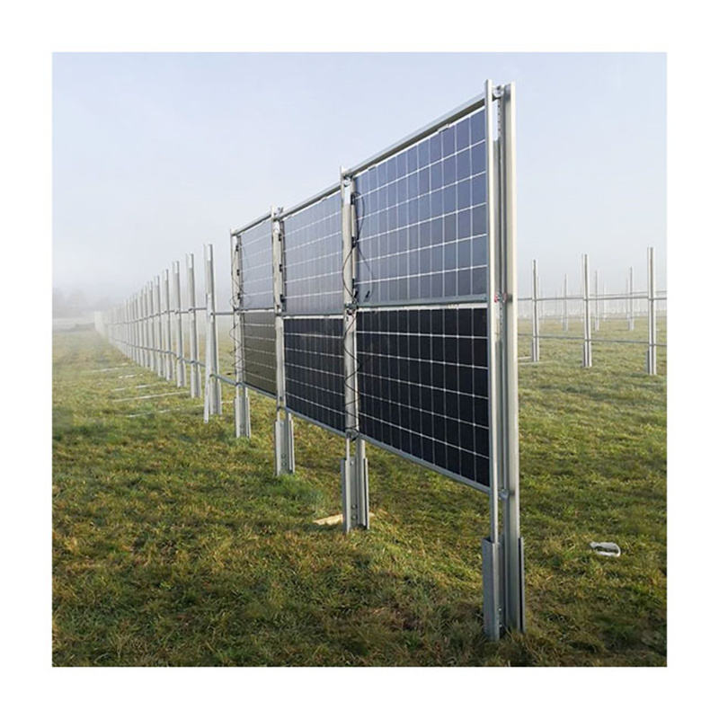 Professional Design Vertical Solar Ground Mounting Structure System
