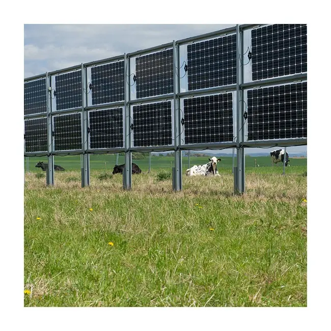 Vertical Bifacial Structure Solar Ground PV Mounting Systems for Open Ground Agriculture or Agricultural Farmland