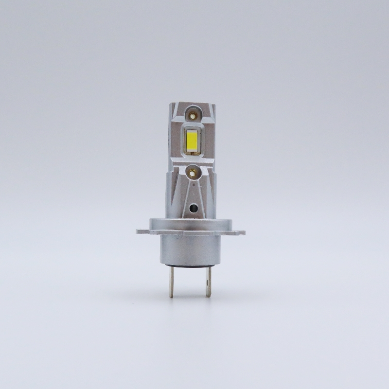 D16 Automotive LED Bulbs 12W 1,000LM