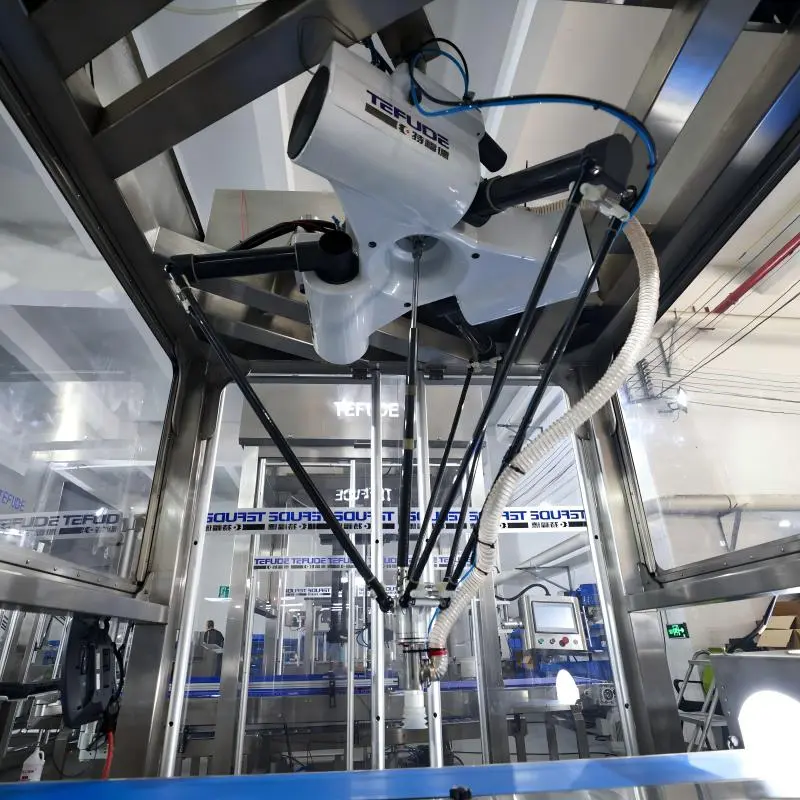 Axus Packing System Food Packaging: Why Is a 4-Axis Packaging Robotic Arm Sufficient ...