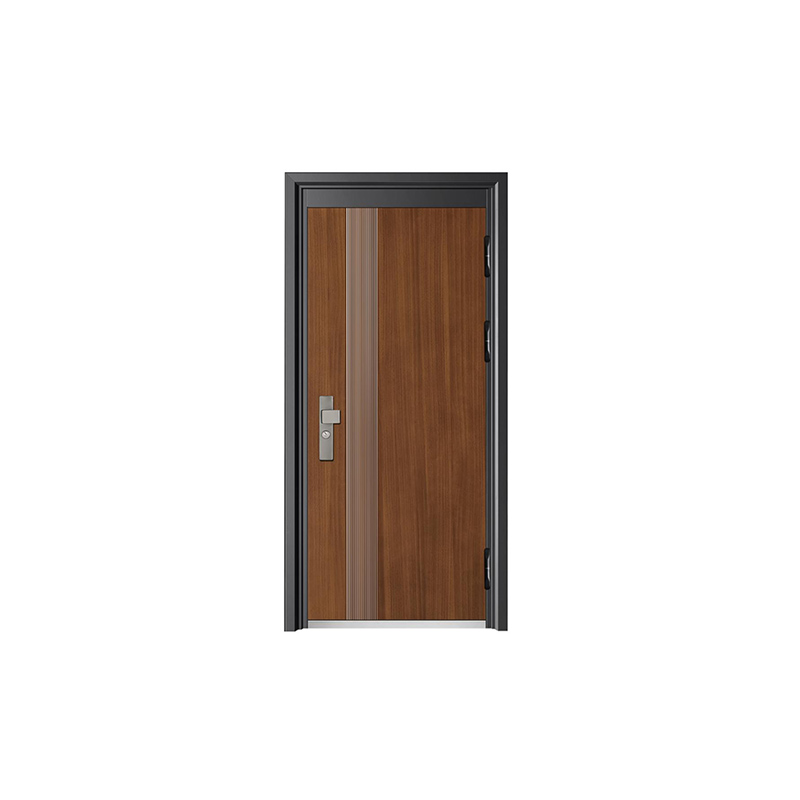 Security Entry Door