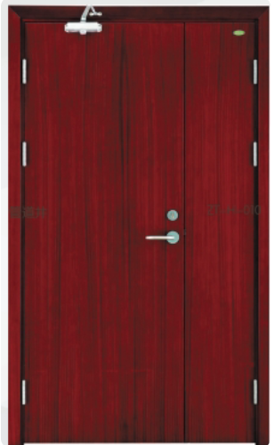 Steel-Wood Fire Door