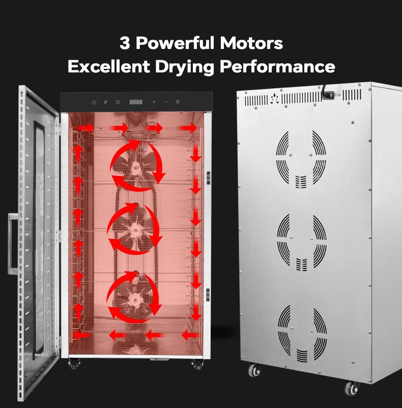 Food Dryer Machine