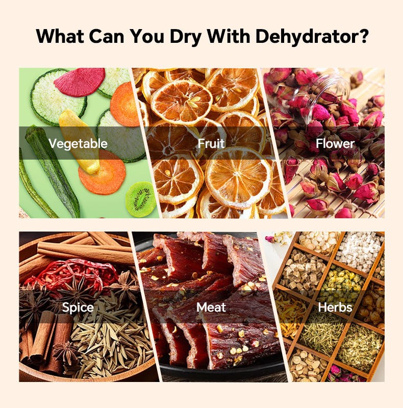 Food Dryer Machine