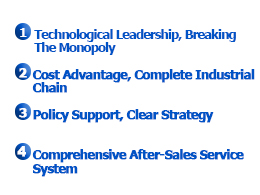 Company's Advantage