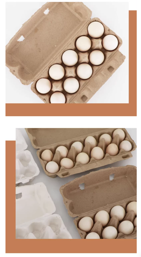 12 egg carton
