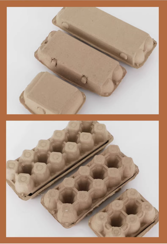 12 egg tray pulp packaging
