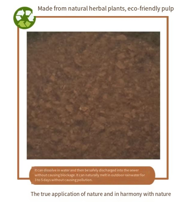 dozen egg paper carton