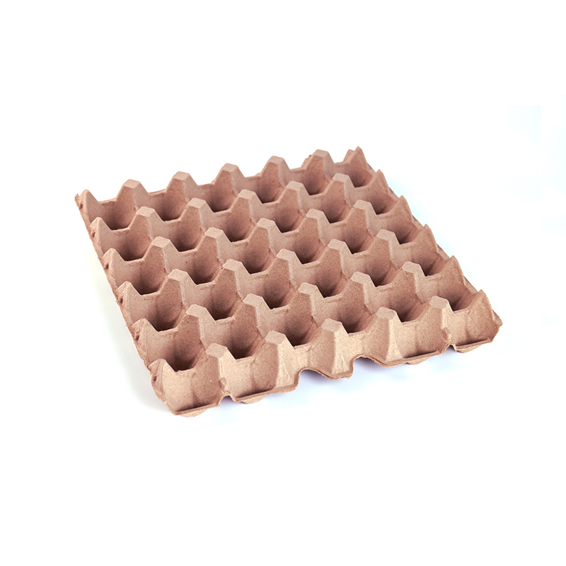 Pulp Egg Tray Pulp Egg Tray