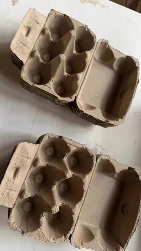 6-Cell Molded Pulp Egg Tray