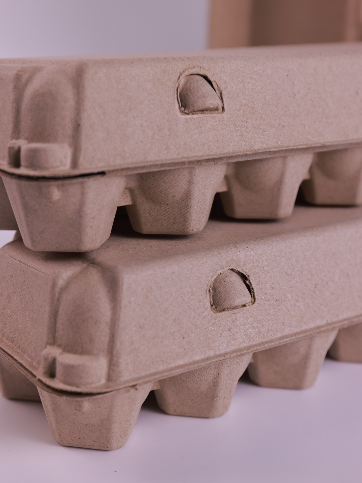 8-Cell Molded Pulp Egg Tray