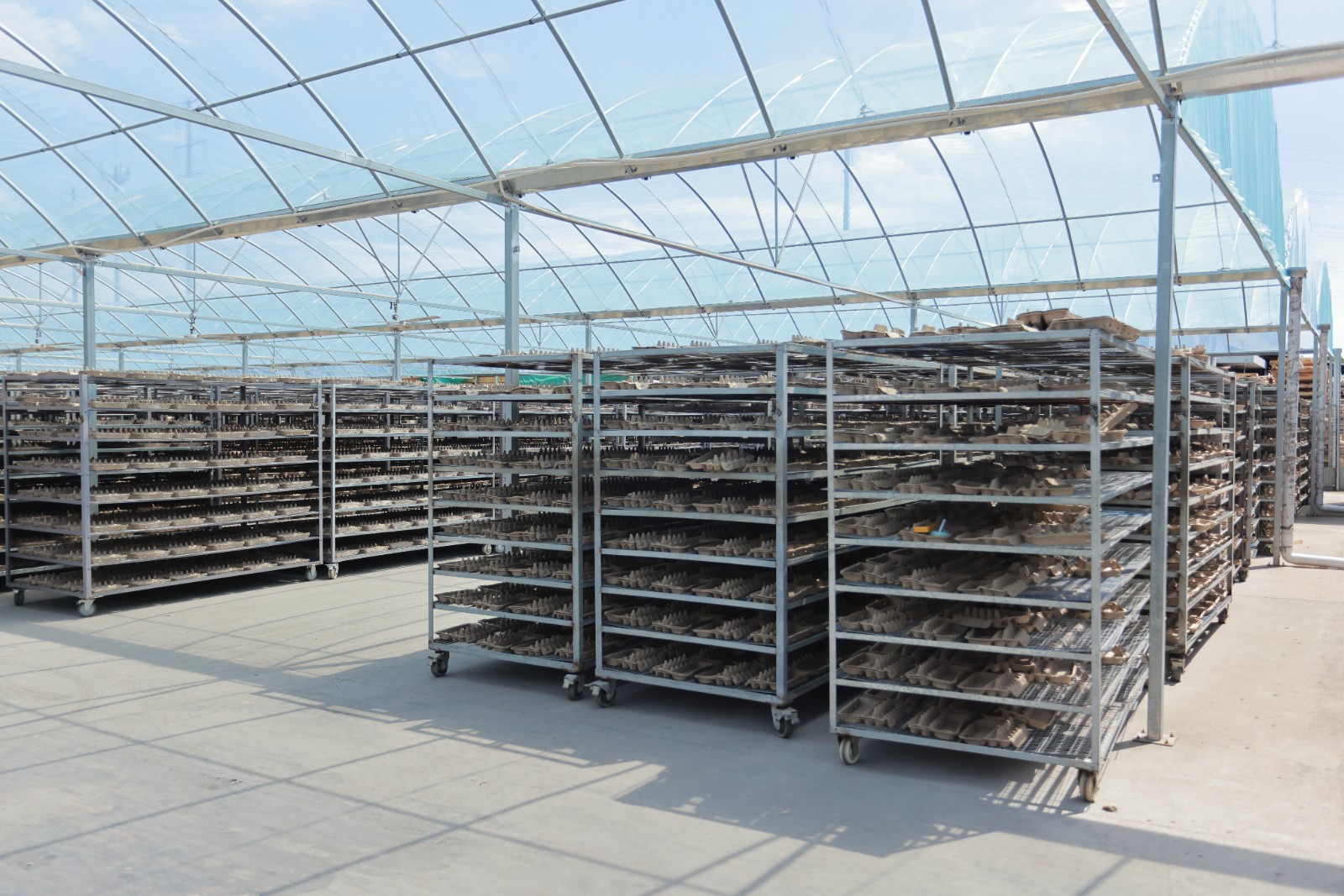 Sustainable Egg Carriers