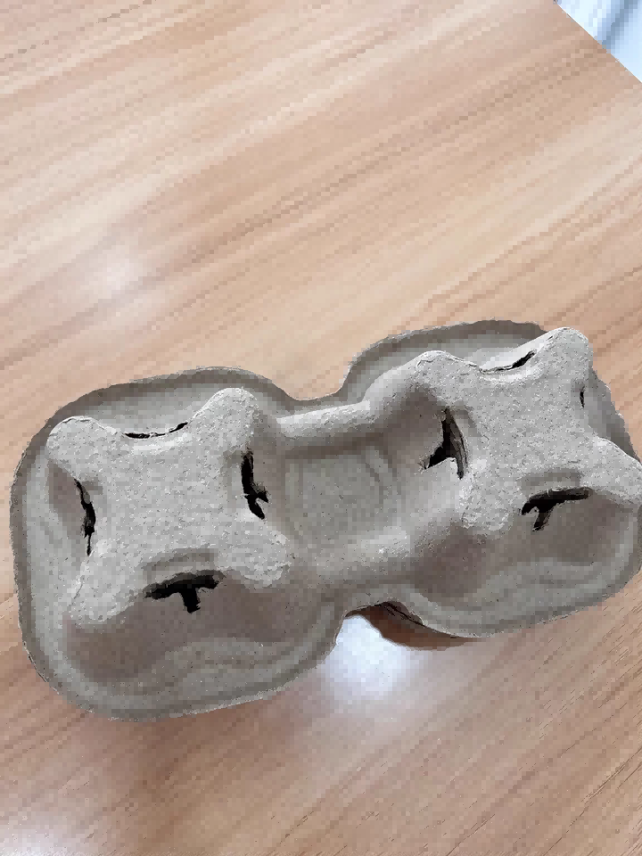 Double Cup Pulp Tray